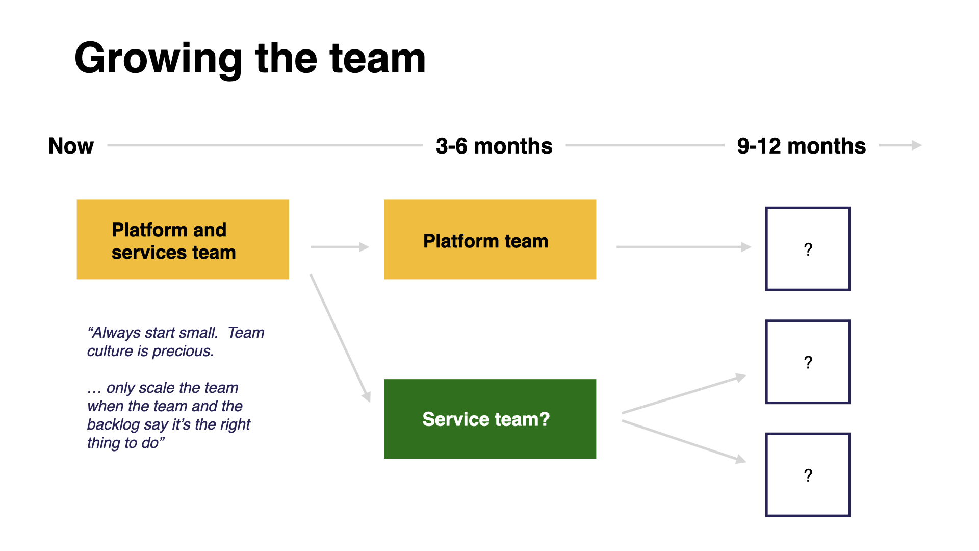 A roadmap showing a single ‘platform and services team’ splitting into a platform team and a service team. Then, after 9 months, possible splitting again.